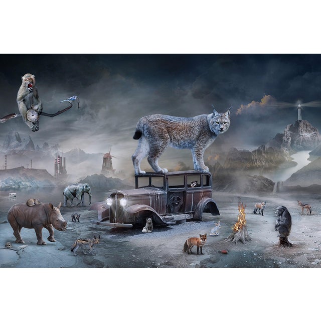 Twilight by Marcin Owczarek | Photography - Dye Sublimation on Aluminum surreal landscape with animals For Sale