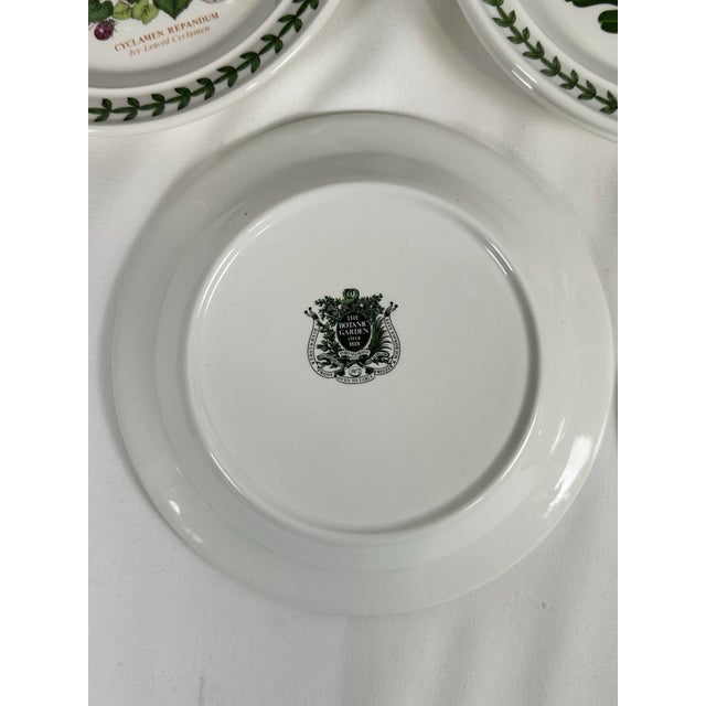 Antique White Portmeirion Botanic Garden 1972 England Bread and Butter Plates- Set of 9 For Sale - Image 8 of 11