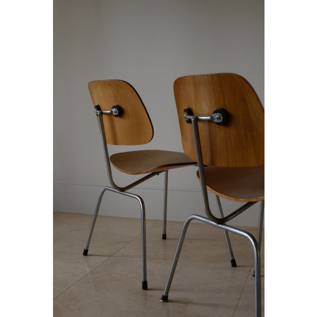 Mid-Century Modern 1950s Charles and Ray Eames DCM Dining Chairs by Herman Miller, Usa For Sale - Image 3 of 13