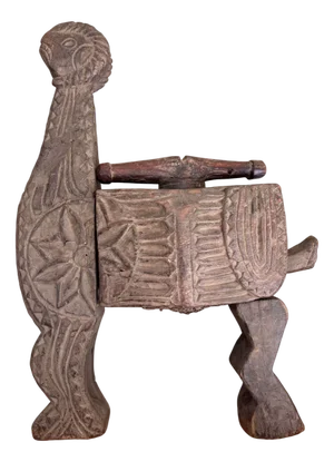 Indian Naga Land Horse