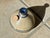 Studio Ceramic Oil Lamp from Bjergard, Denmark, 1970s For Sale - Image 9 of 11