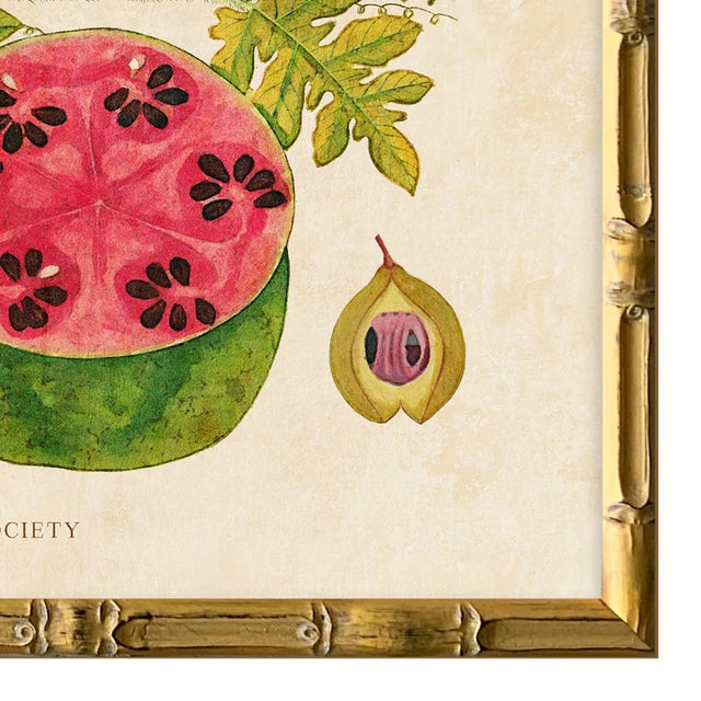 2020s Reproduction Giclee Print of Vintage Fruit & Flowers (6) Art Print, Framed For Sale - Image 5 of 6