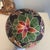 Black Beautiful Handwoven 21st Century Wounaan Rainforest Basket From Panama For Sale - Image 8 of 10