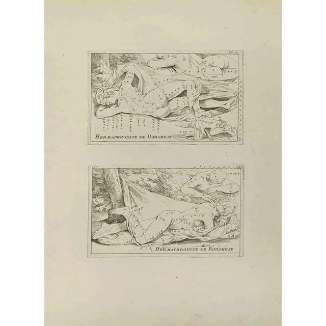 Apollon is an etching realized by Jean François Poletnich in 18th Century. Good conditions. The artwork is depicted...