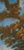 FREE SHIPPING worldwide. The painting will be rolled up and packed securely in a special protective tube. Note: The...