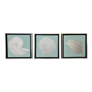 Framed Mint & Silver Seashell Collection, Designed by Cheryl P. Kohloff - Set of 3
