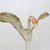 Decorative Outdoor Heron Sculpture For Sale - Image 6 of 16
