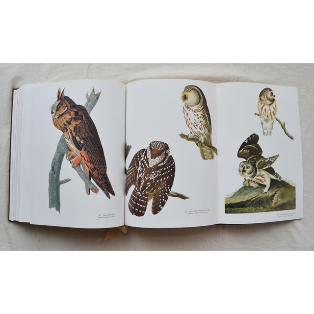 1981 Signed Audubon's Birds of America: The Audubon Society Baby Elephant For Sale - Image 13 of 18