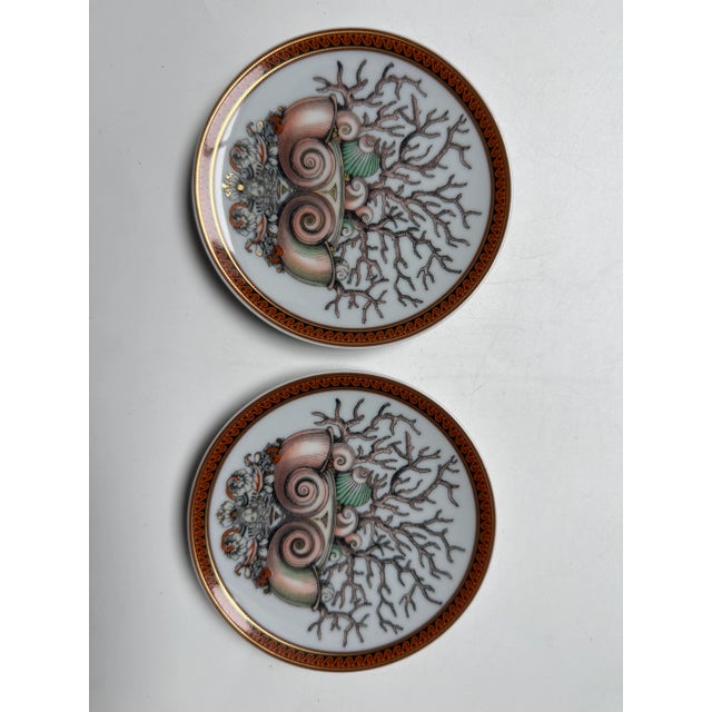 Brown Etoiles de la Mer Plates by Versace for Rosenthal, 2000s, Set of 2 For Sale - Image 8 of 8