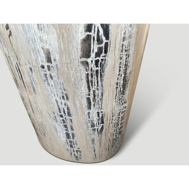 Andrianna Shamaris Exquisite High Quality Petrified Wood Side Table or Pedestal For Sale - Image 10 of 18