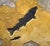 Contemporary Fossil Fish Mural 4779gm For Sale - Image 3 of 6