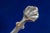 Beautiful English Georgian Antique Sterling Silver English Sugar Nips Tea Tongs For Sale - Image 12 of 12