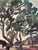 Mid-Century Modern Rune Nilsson, Birches, 1950s, Oil Painting on Canvas, Framed For Sale - Image 3 of 14