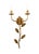 Antique Gold Iron Clean with a dry cloth