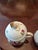 1940s Vintage Mid Century Richard Ginori Italy Set 4 Cups For Sale - Image 5 of 12