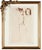 Paul César Helleu Vannes 1859 - 1927 Paris "Study of Four Women" Etching on laid paper Signed in pencil lower left...