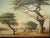 Vintage Oil on Canvas Picture Painting of Trees Signed by Grace Snow For Sale In Los Angeles - Image 6 of 13