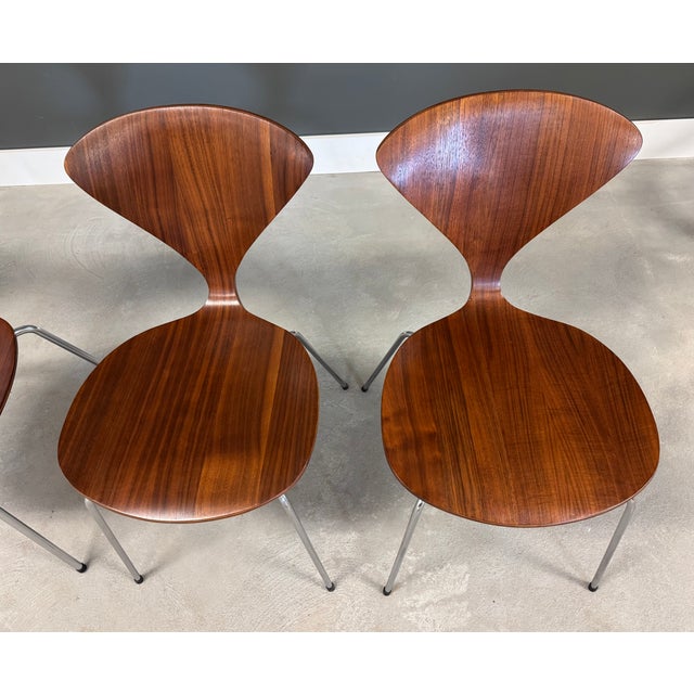 1960s 1960s Norman Cherner Plycraft Attributed Dining Chairs - Set of 4 For Sale - Image 5 of 8