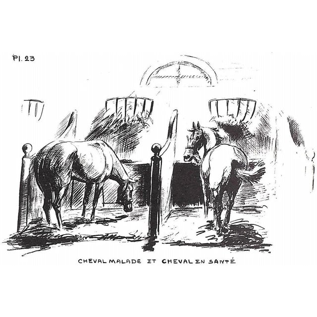 "Conquete Du Cavalier" 1968 Benoist-Gironiere, Y. For Sale - Image 12 of 13