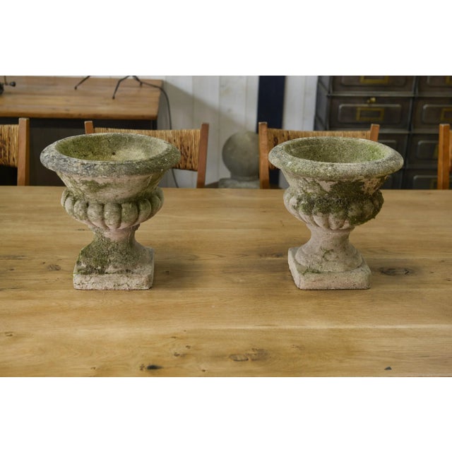 Medici Vases in Reconstituted Stone, 1950s, Set of 2 For Sale - Image 11 of 12