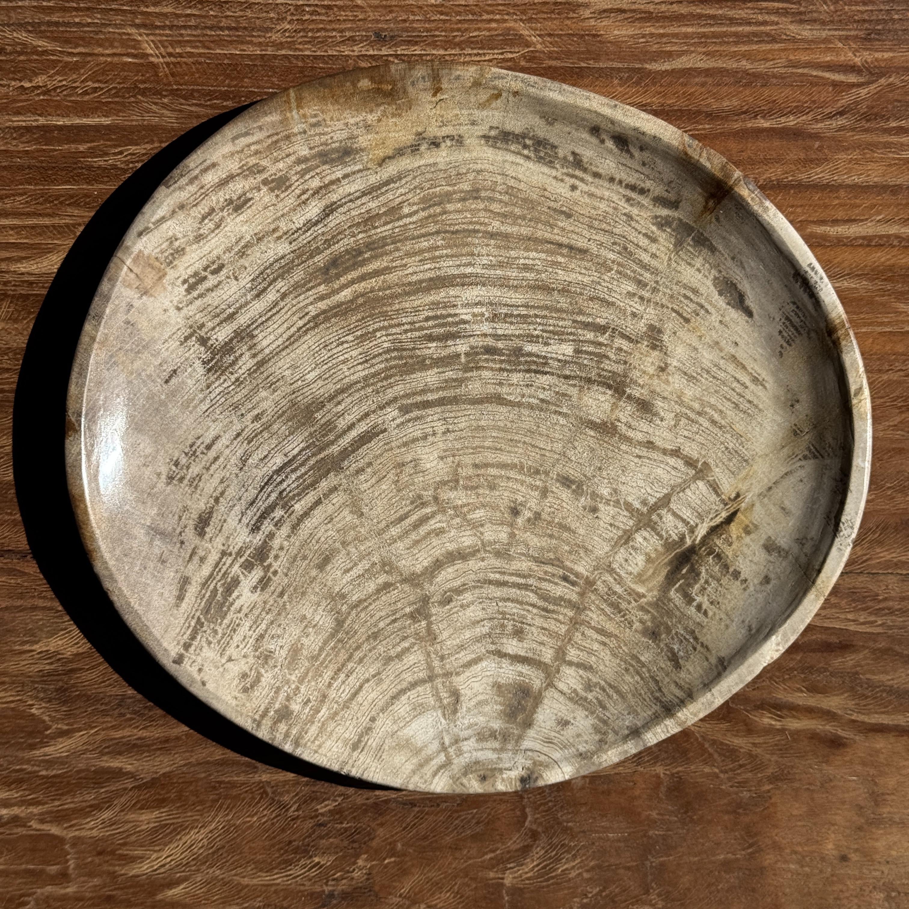 Vintage ＊ petrified wood tray Light Grey Petrified Wood Trinket Tray or Dish with Rings, 1980s