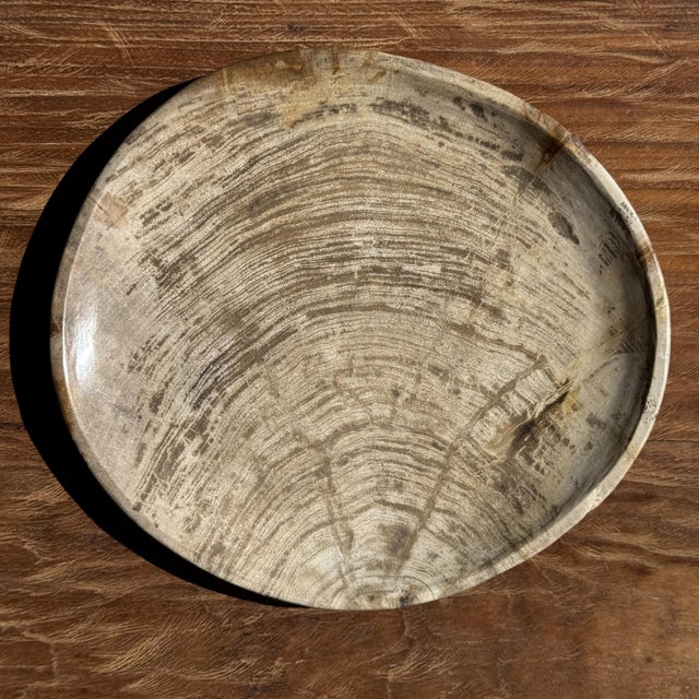 Light Grey Petrified Wood Trinket Tray or Dish with Rings, 1980s For Sale - Image 9 of 9