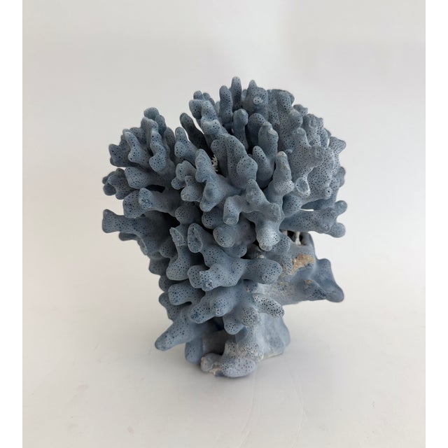 Chinoiserie Natural Blue Coral Specimen Coastal Decor For Sale - Image 3 of 7