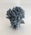 Chinoiserie Natural Blue Coral Specimen Coastal Decor For Sale - Image 3 of 7
