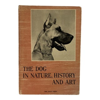 1950s the Dog in Nature, History and Art Book For Sale