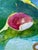 "Moss and Sunlight" Abstract Beautiful Colorful Modern Painting by Artist Sonia Gold For Sale - Image 13 of 17