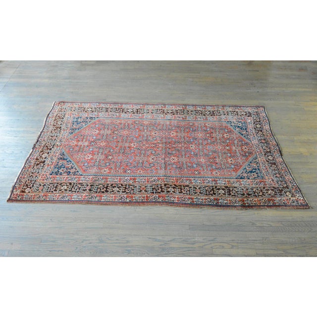 Early 20th Century Gashgaei Rug For Sale - Image 9 of 10
