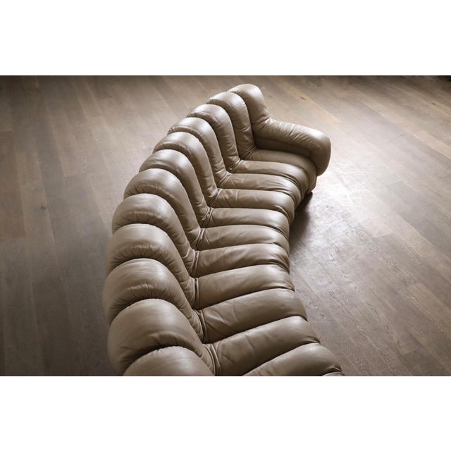 DS 600 Modular Sofa in Leather by Heinz Ulrich, Ueli Berger and Eleanora Peduzzi-Riva for de Sede, 1970s, Set of 22 For Sale - Image 9 of 12