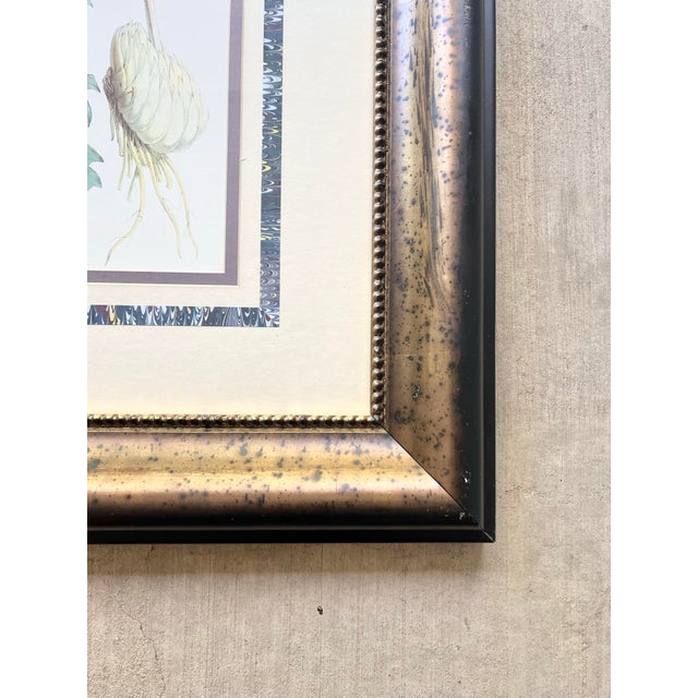 1980s 1980s Walter Hood Fitch Lilium Washingtonianum, Washington Lily Large Framed Print For Sale - Image 5 of 8