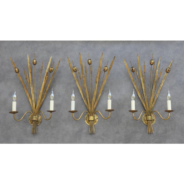 Mid-Century Modern Spanish Gilt Tole Reed and Seed Head Wall Sconce, 1960 For Sale - Image 3 of 10