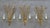 Mid-Century Modern Spanish Gilt Tole Reed and Seed Head Wall Sconce, 1960 For Sale - Image 3 of 10