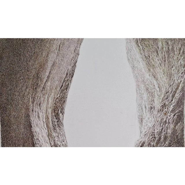 Elzbieta Siegoczynska, Ravine, 2025, Ink on Paper For Sale - Image 4 of 6