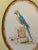 Celadon 1980s Large Framed Macaw Parrot Ceramic Oval Plaques- a Pair For Sale - Image 8 of 9