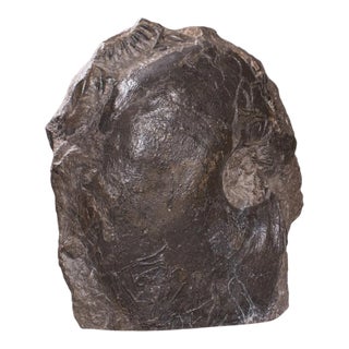 1910s Large Antique English Decorative Ammonite For Sale