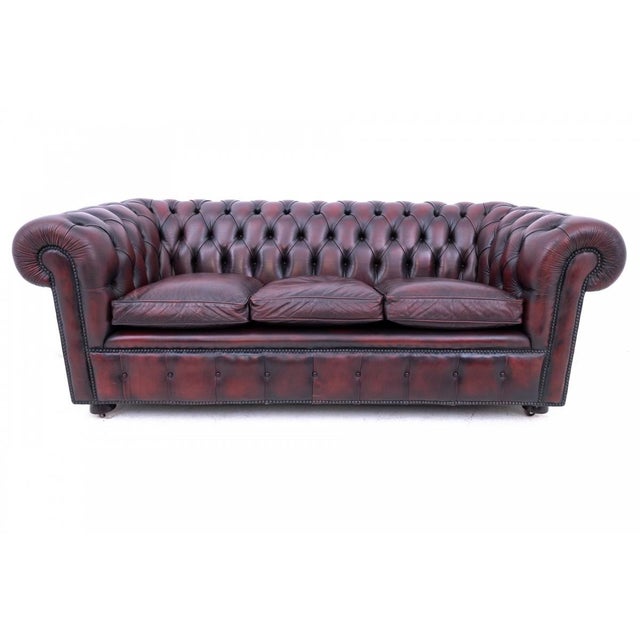 Mid-Century Chesterfield Sofa, Western Europe, 1950s For Sale - Image 11 of 12