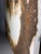 Brown Chester Lewis Perez Textured Impasto Textured Oil Painting Cypress Tree Swamp 20x24 For Sale - Image 8 of 13