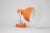 Vintage Orange Table or Wall Lamp, Czechoslovakia, 1960s For Sale - Image 3 of 8