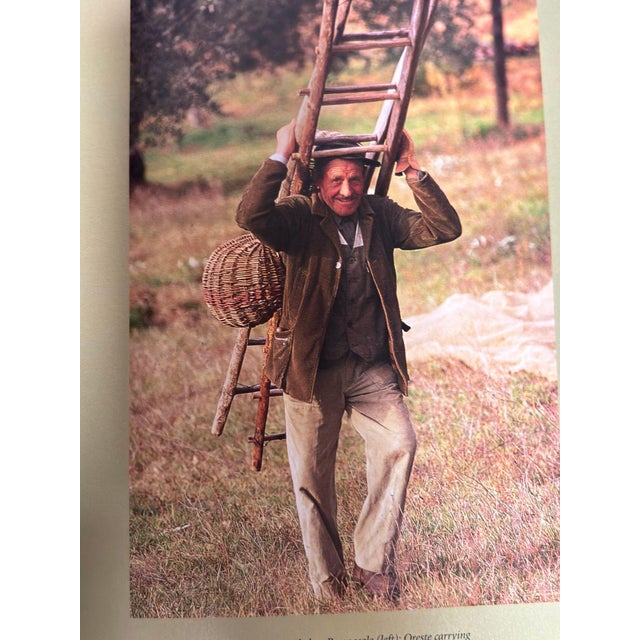 In Tuscany by Frances Mayers, Tuscan Life Hardcover Table Book For Sale - Image 16 of 18
