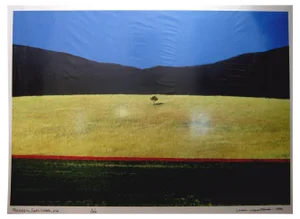 Franco Fontana, South Dakota, 1990, C Print