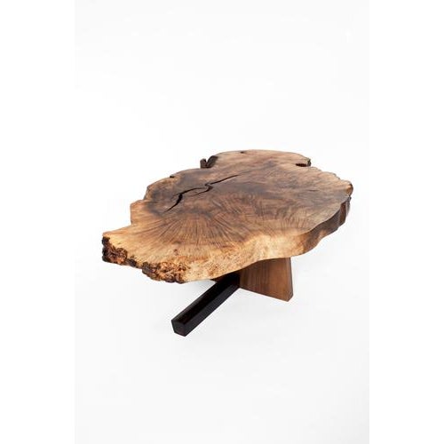 T2611 Coffee Table in Caucasian and European Walnut by Jörg Pietschmann For Sale - Image 9 of 16