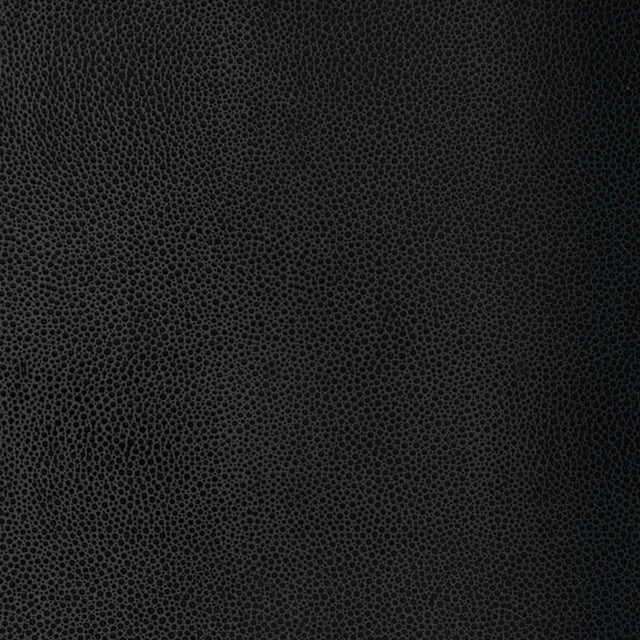 Sample - Schumacher Shagreen Wallpaper in Carbon For Sale