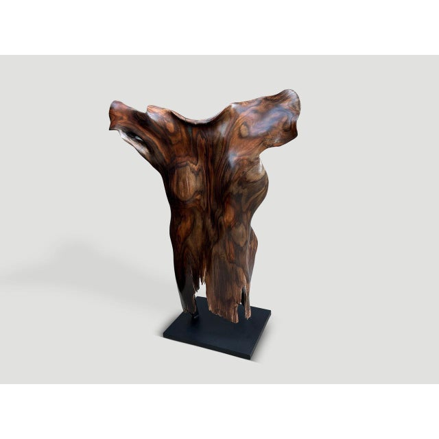 Contemporary Andrianna Shamaris Rare Ancient Wood Torso For Sale - Image 3 of 5