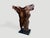 Contemporary Andrianna Shamaris Rare Ancient Wood Torso For Sale - Image 3 of 5
