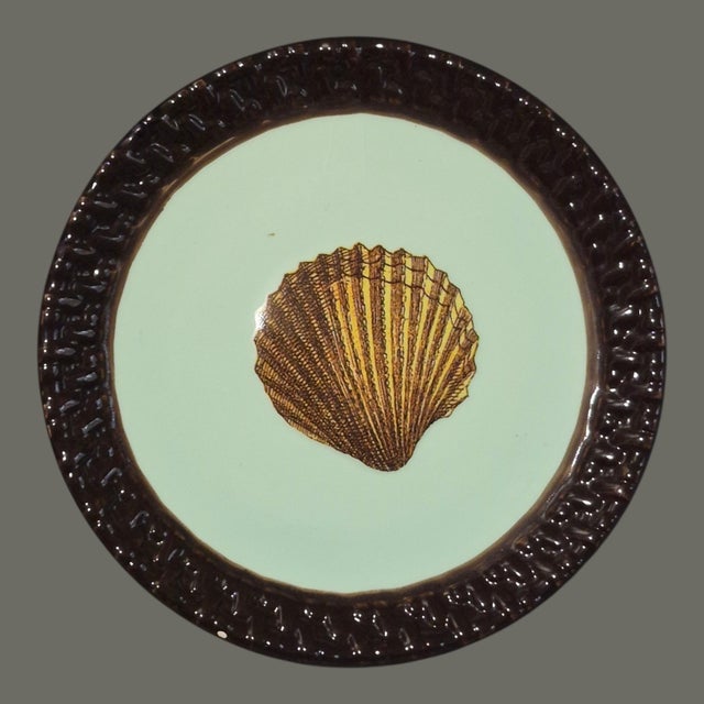 Late 20th Century Late 20th Century Coastal Small Sea Shell Mud-Pie Fiji Tidbit Dishes 5'' Diameter - Set of 4 For Sale - Image 5 of 9