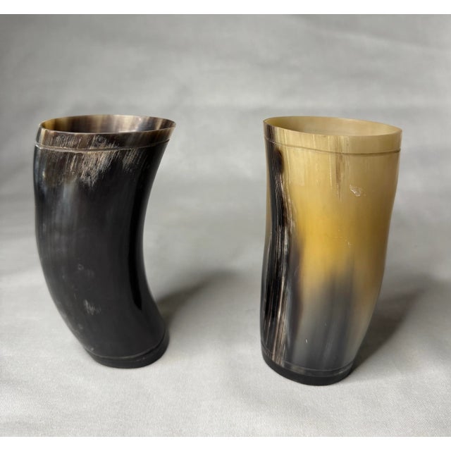 English Pair of Rustic European Horn Vases For Sale - Image 3 of 12
