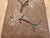 Early 20th Century Vintage American Hand Hooked Rug, Handwoven Moth Pattern, Folk Art Tapestry, 2x3 For Sale - Image 5 of 11